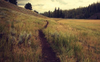 Cconsejos para el Camino de Santiago (Parte II)
