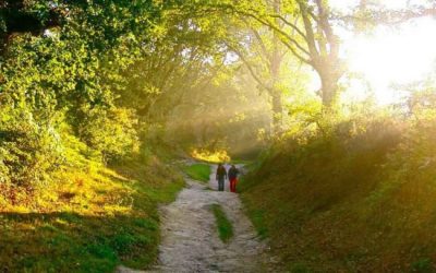 Iniciativa «Camino de Santiago accesible para todos» para ayudar a personas con discapacidad
