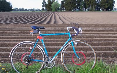 ¿Qué te parece hacer el Camino de Santiago en bici?