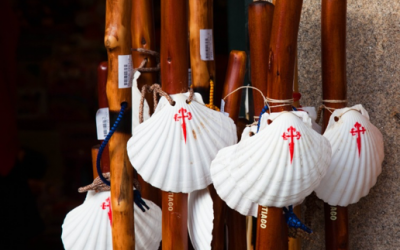 Bastón o Bordón, pros y contras de su uso en el Camino De Santiago