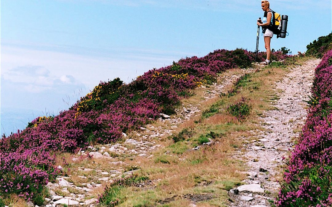 Consejos básicos para hacer el Camino de Santiago en verano